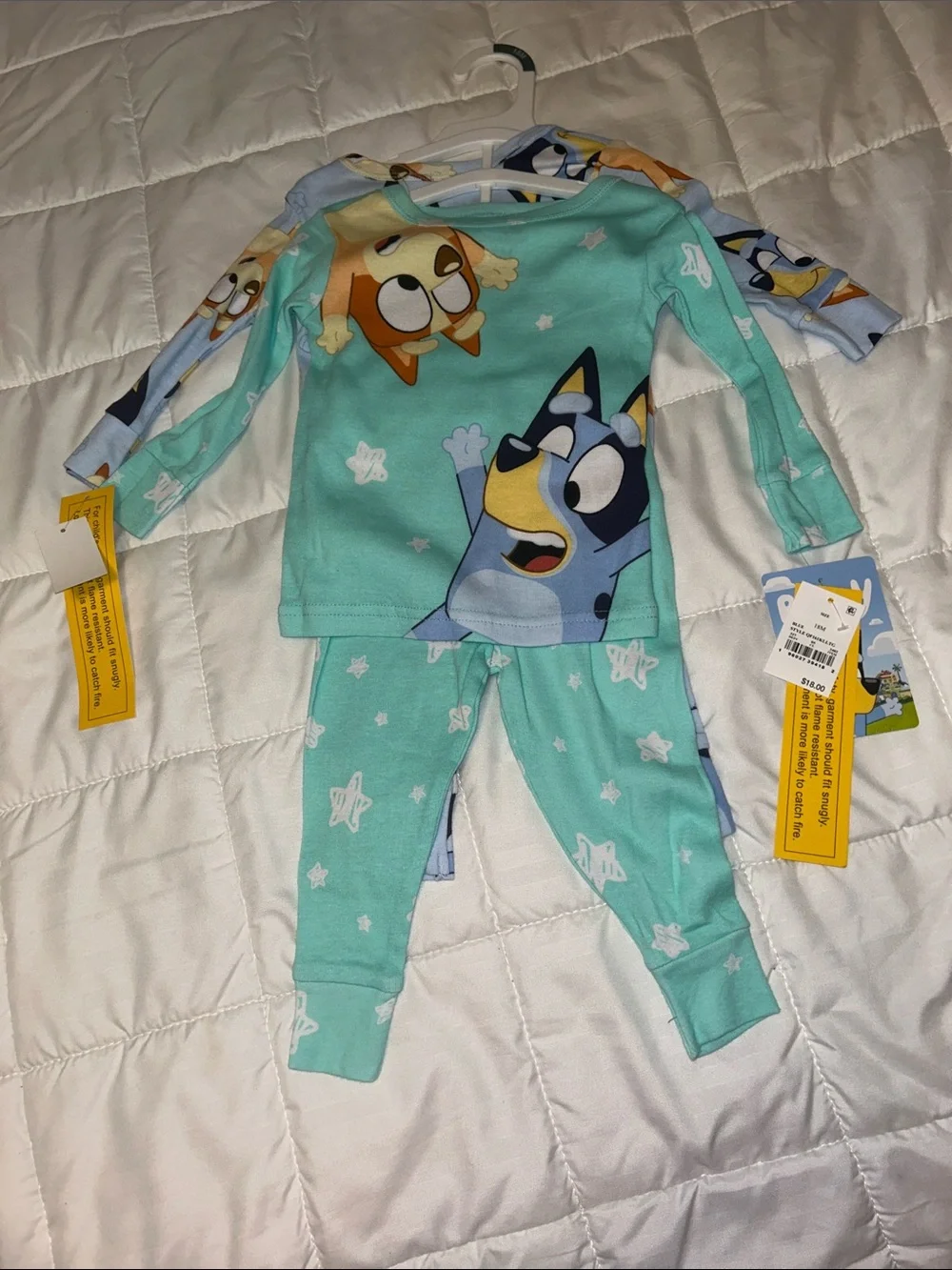 Bluey Mint Green Kids' Character Pajama Set - Long Sleeve Top & Pants Set